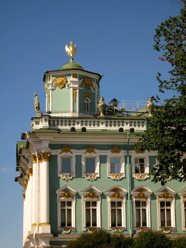 Зимний дворец (Санкт-Петербург) - Павел Зюзин