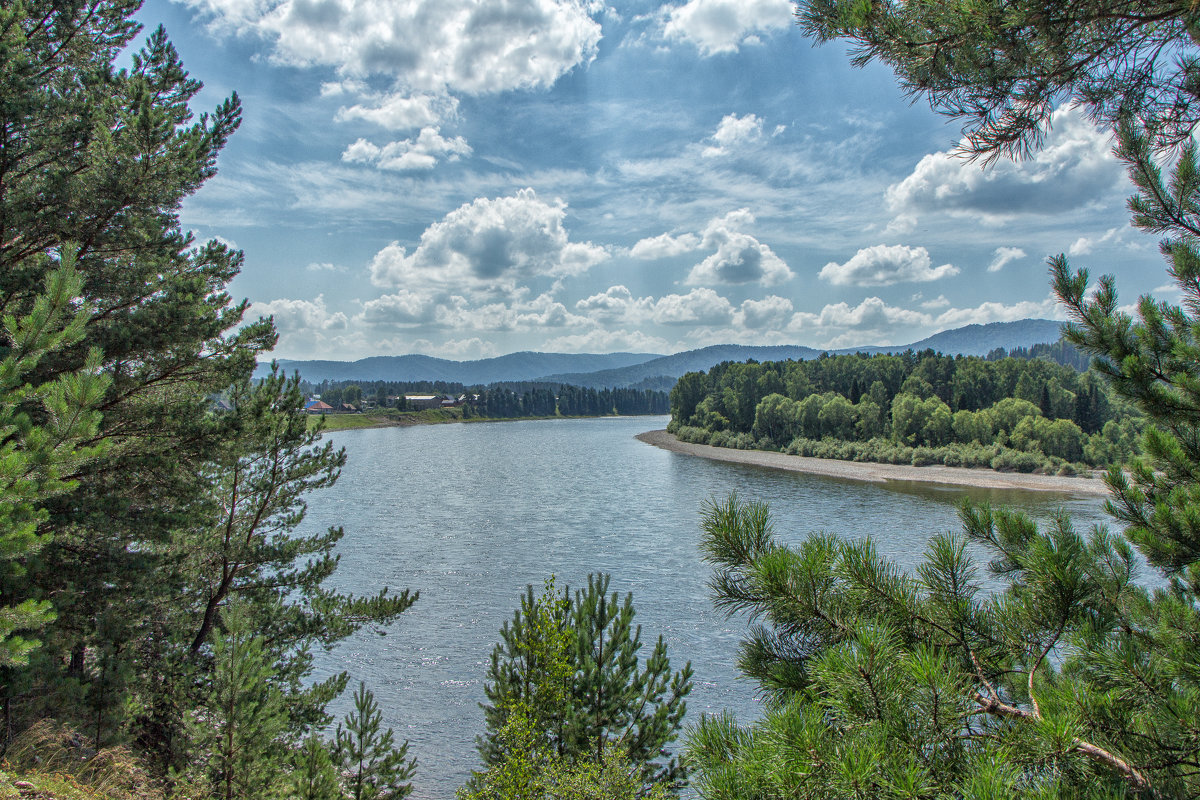 *** - Галина Шепелева