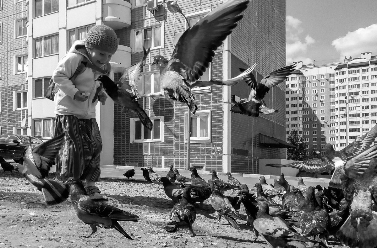 Летите голуби, летите! - Анна Санжарова