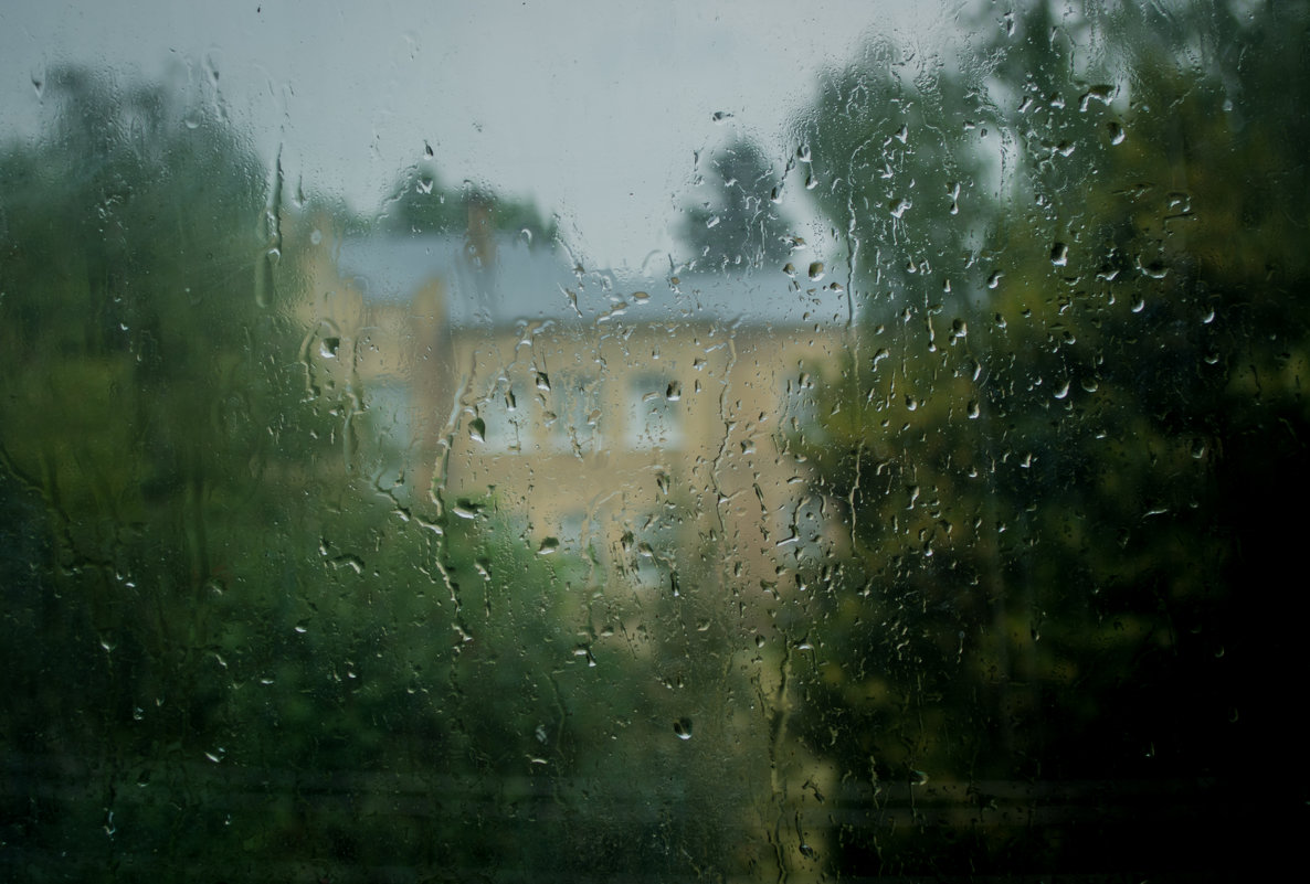 Дождь стучит в окно - Boxing1994 Vlad