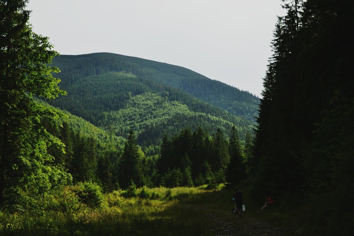 en route - Диана Назарук