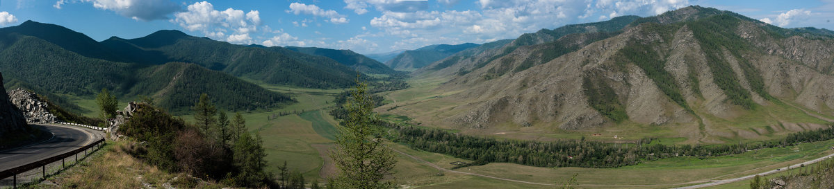 * - Александр Богданов