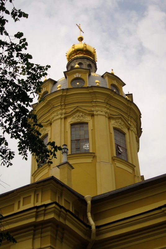 Петропавловский собор (Санкт-Петербург) - Павел Зюзин