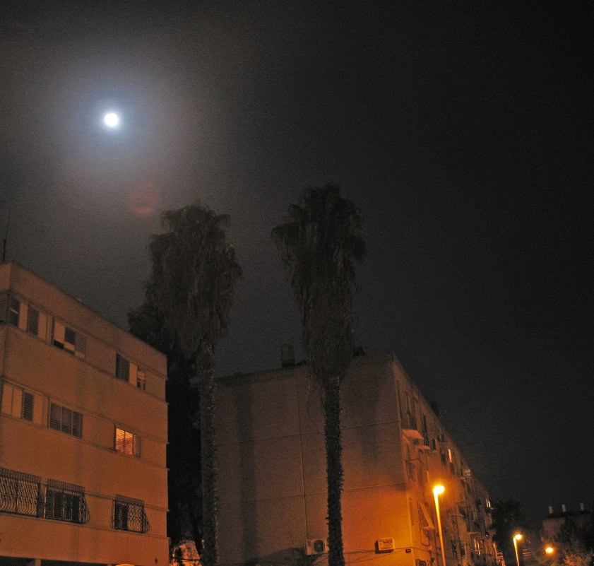 83.Ночь над городом - Mordechai Novenkii