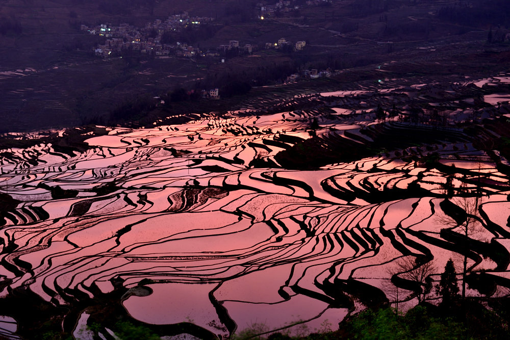 Рисовые террасы Юаньян - chinaguide Ся