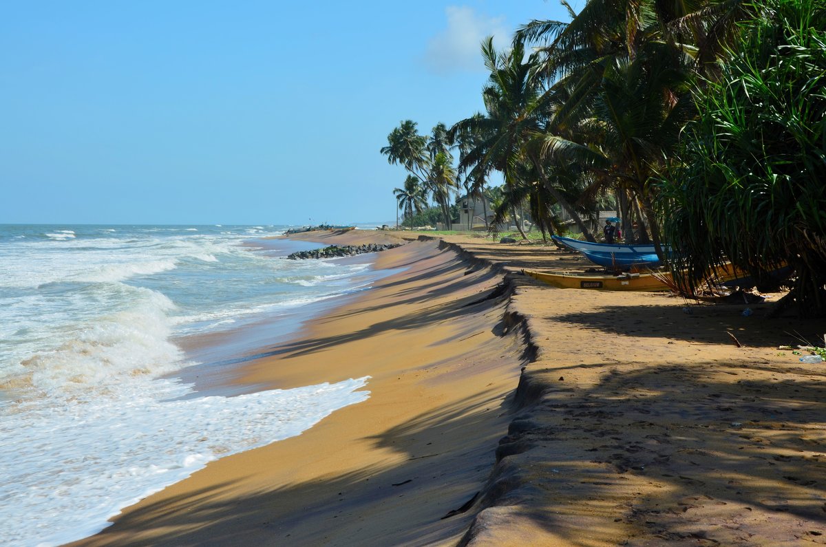 Шри Ланка. Индийский океан - Ирина Н