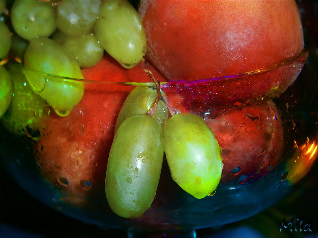 Август – грозди винограда..... - Людмила Богданова (Скачко)