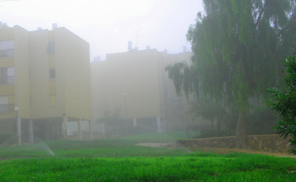 31. туман - Mordechai Novenkii