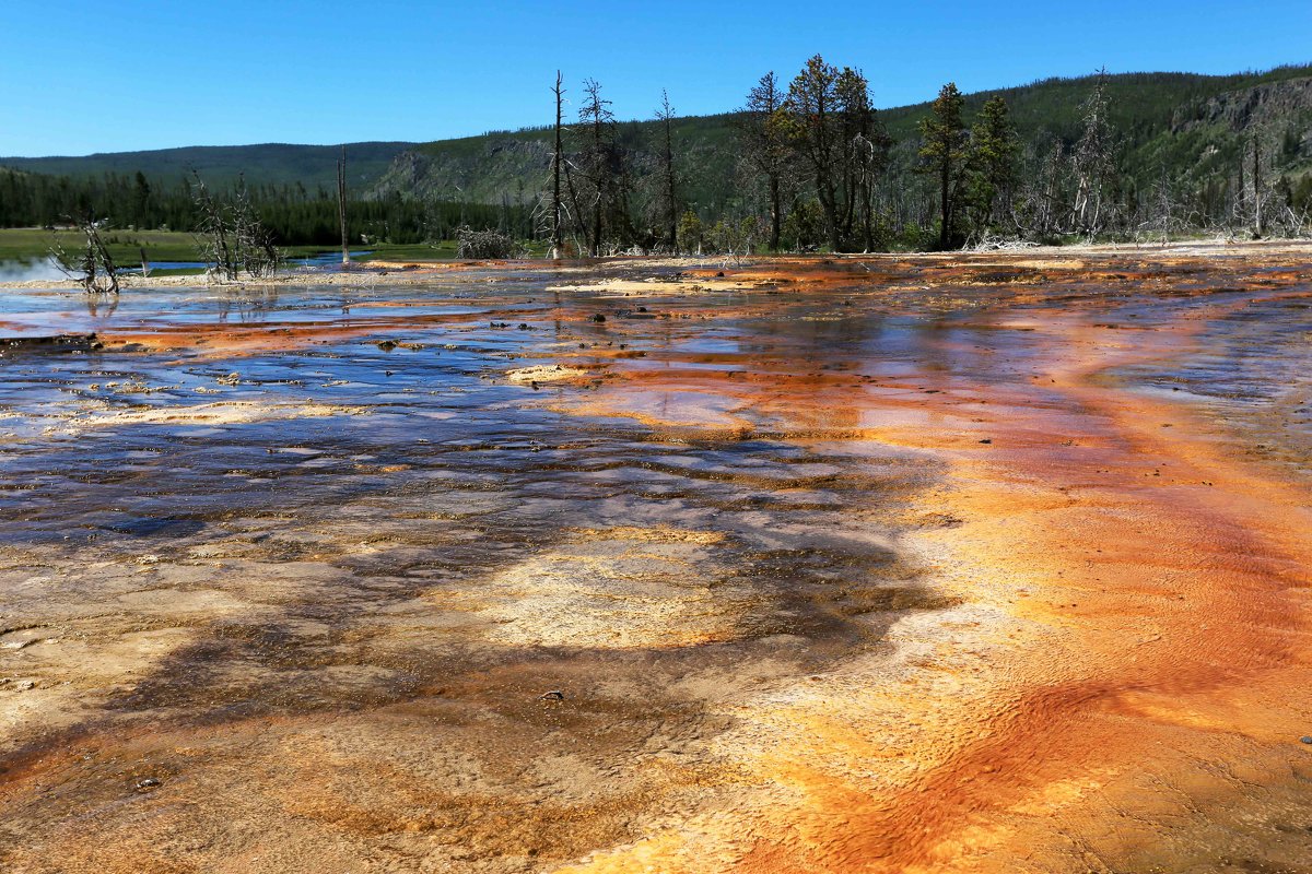 Yellowstone - Виктор 