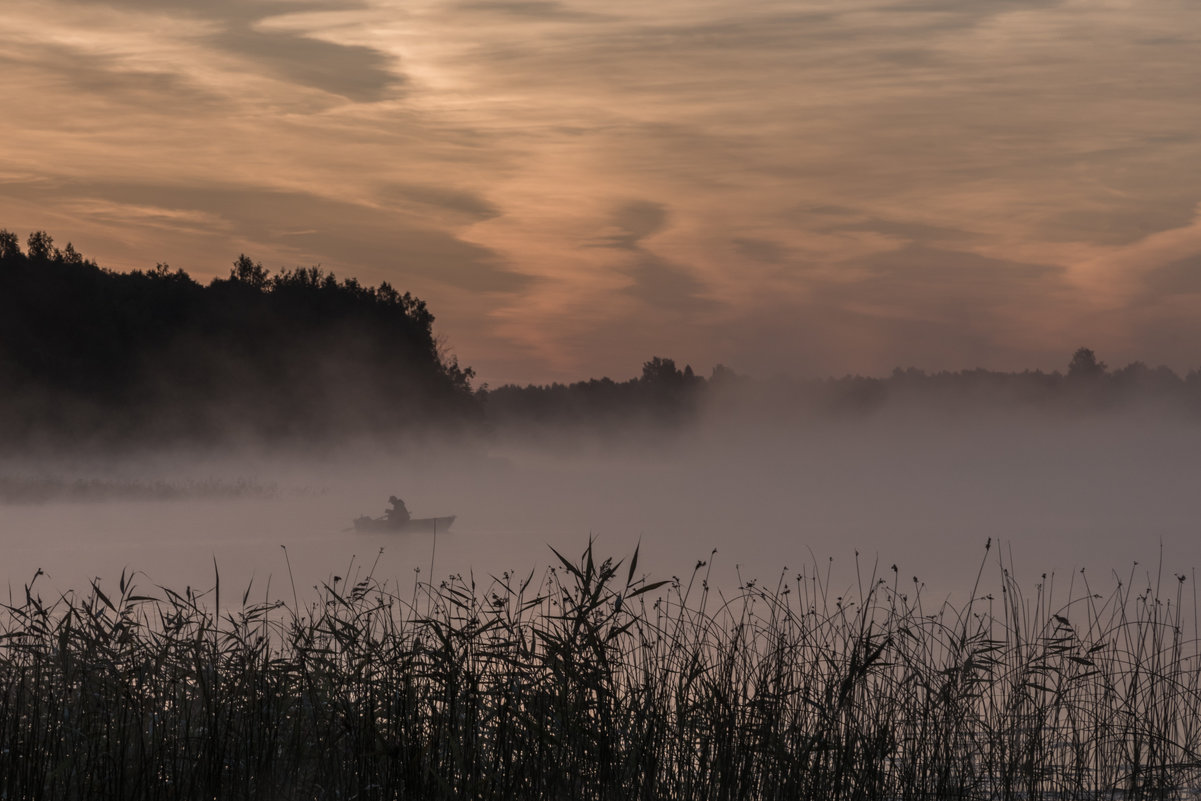 Рассвет на берегу Виесите (Латвия) во время фестиваля FotoFest-2015 21-23. Августа 2015 - Jevgenija St