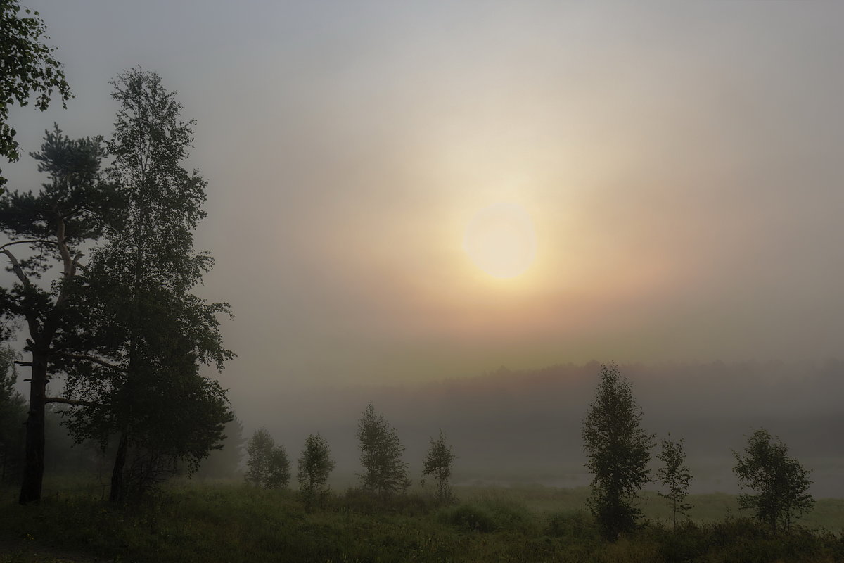 Солнце в тумане - Анатолий Иргл