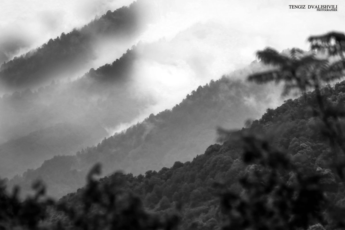 горы в тумане - Tengiz Dvalishvili 