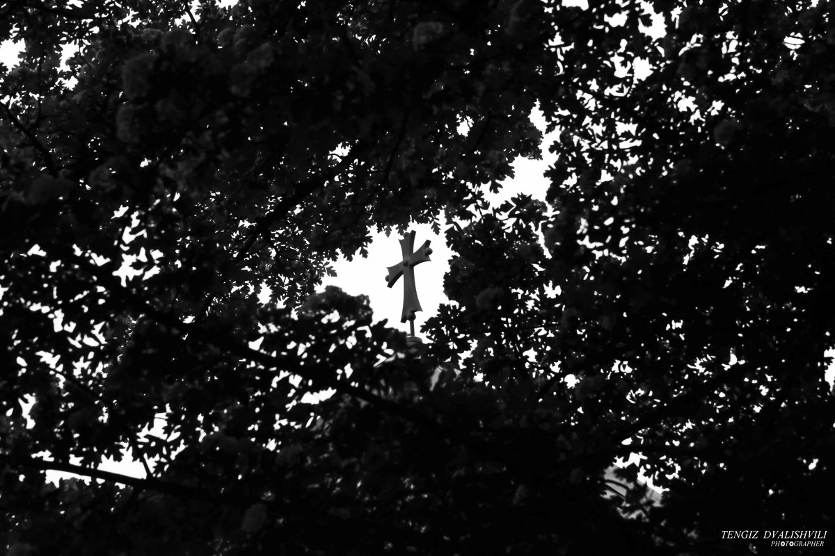 крест в деревьях - Tengiz Dvalishvili 