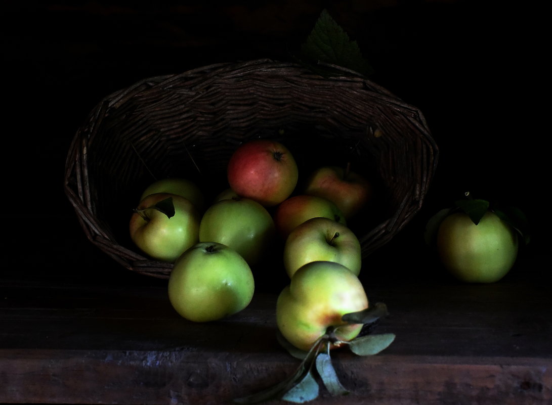 Яблоки в тёмной бане - Нина Штейнбреннер