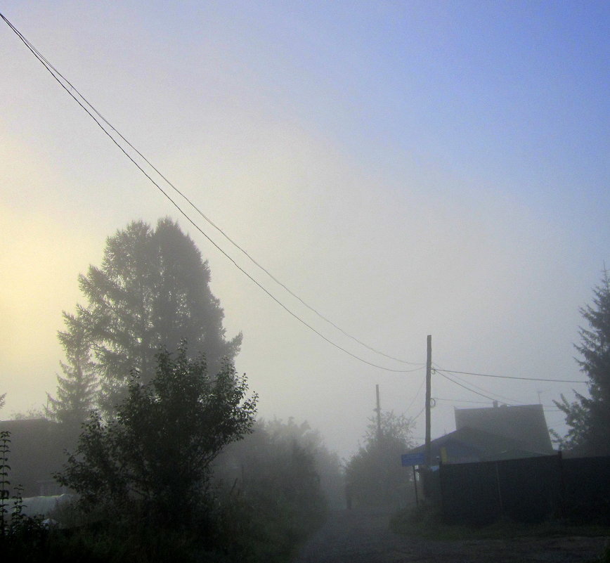 Густой туман , расстояние до человека  20 метров. - Мила Бовкун