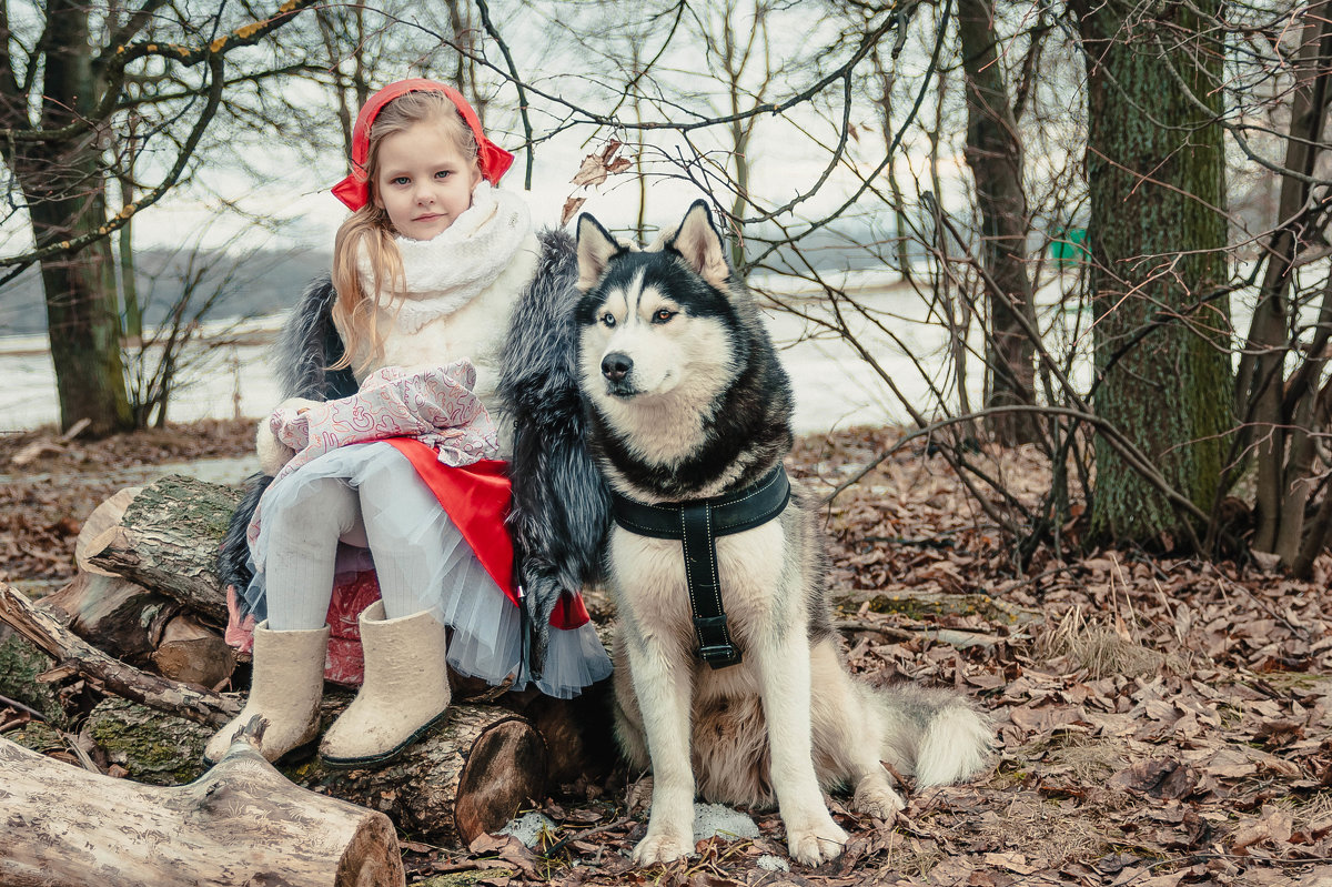 Красная шапочка и ее друг волк - Ольга Осипова