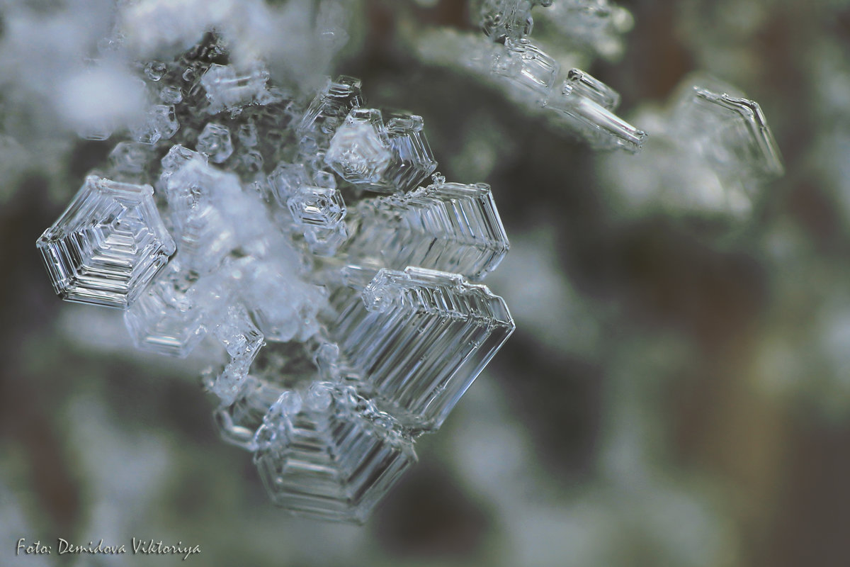 кристаллик льда - Viktoriya 