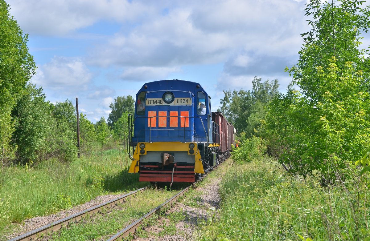 Тепловоз ТГМ4Б-0824 - Денис Змеев