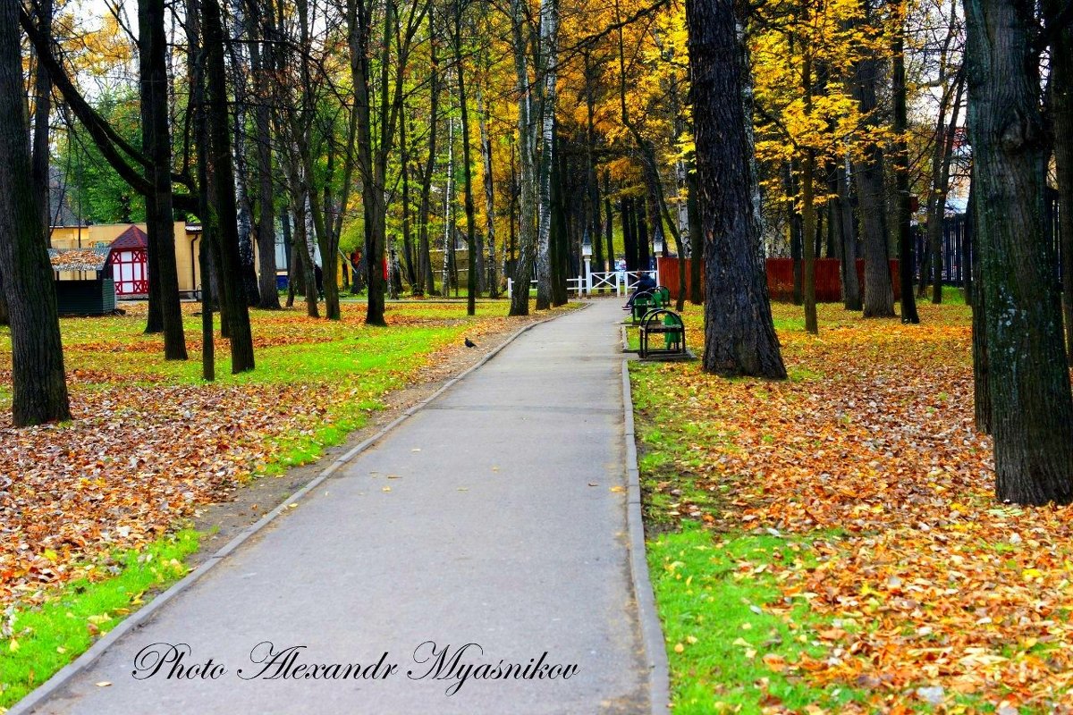 Осенний парк - Александр 
