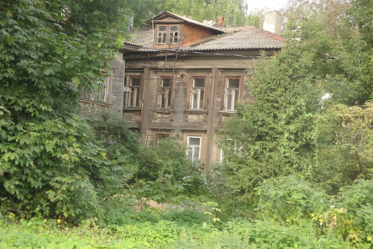 В тени дерев - Лебедев Виктор 