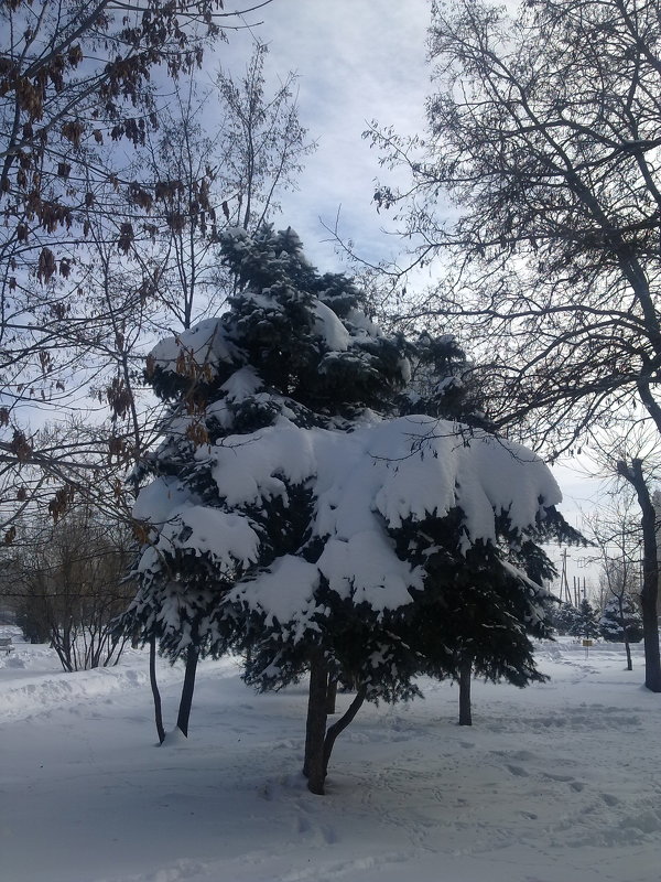 зима - Юлия Гичкина
