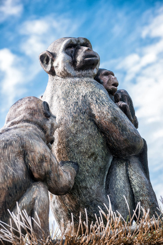 скульптура обезьян - Мария Данилейчук