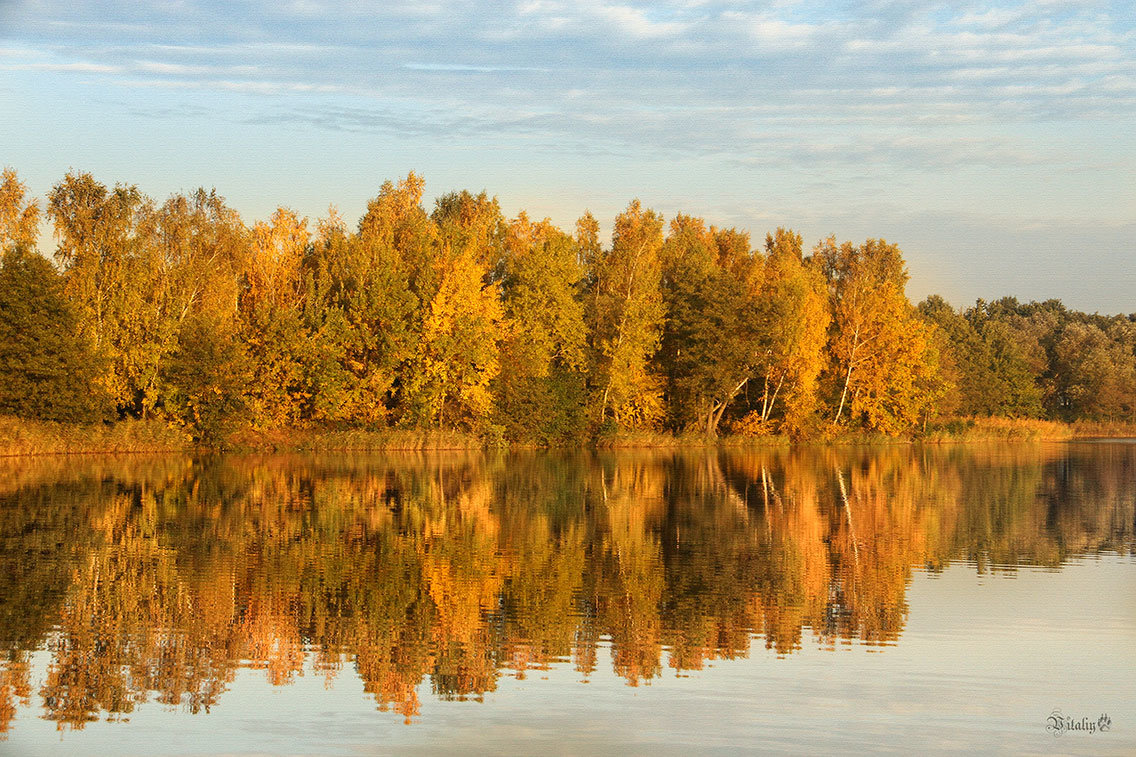 Золото осени - Виталий Латышонок