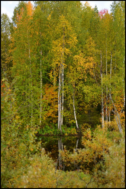 Осень - Денис Кацаров