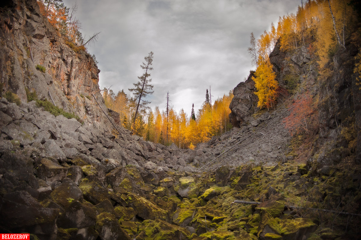 Siberia,Taiga - Дмитрий Белозеров