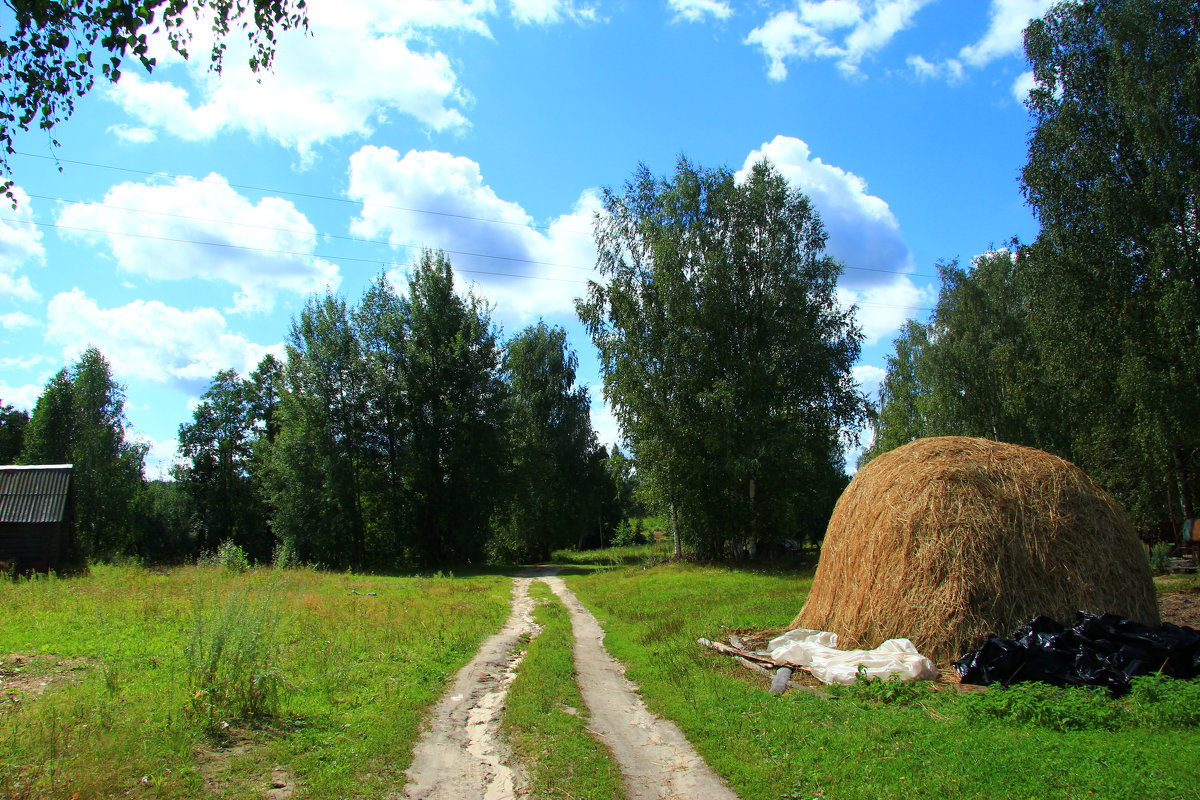 Пейзаж со стогом сена - Владимир Андреевич Ульянов