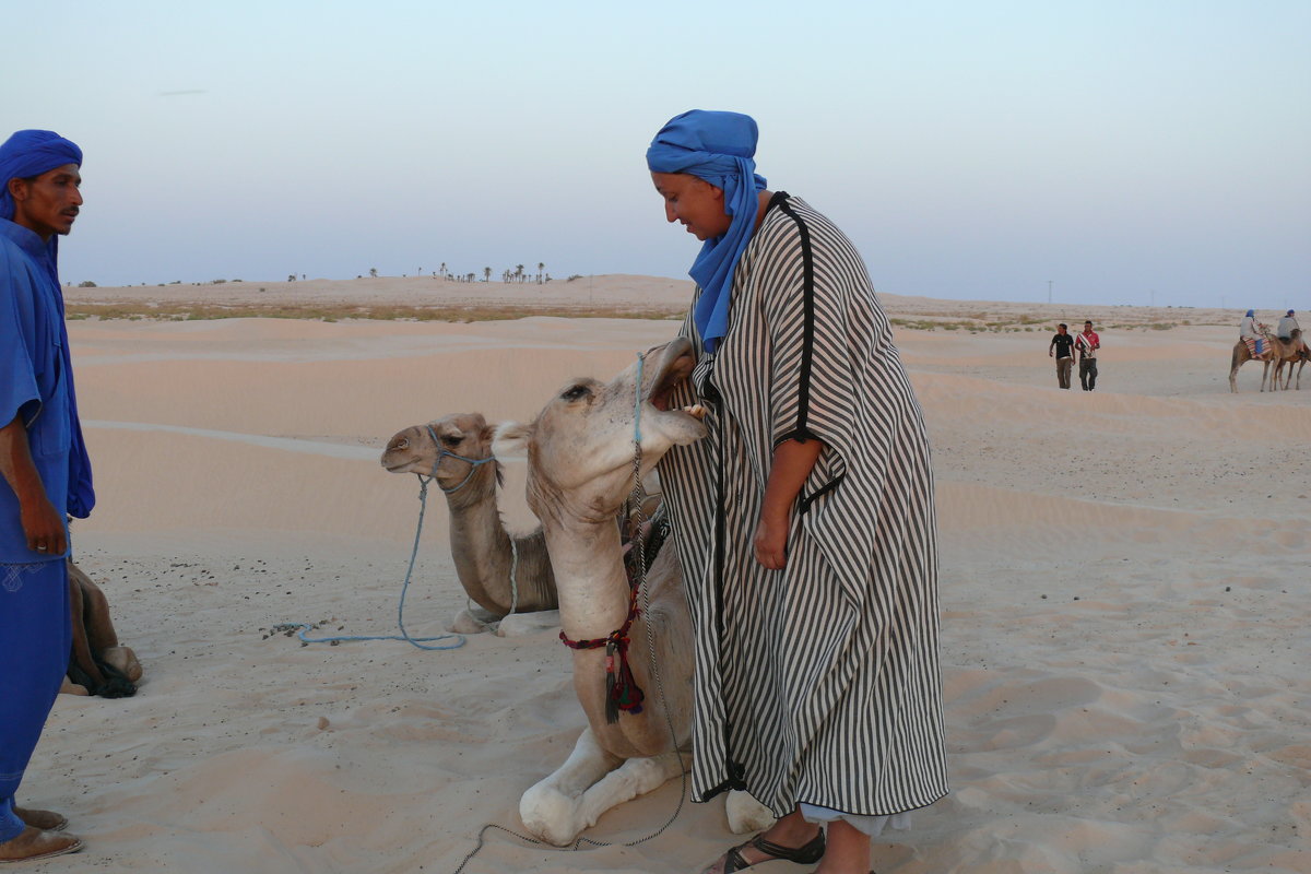 Прогулка по Сахаре - Мария Стрижкова