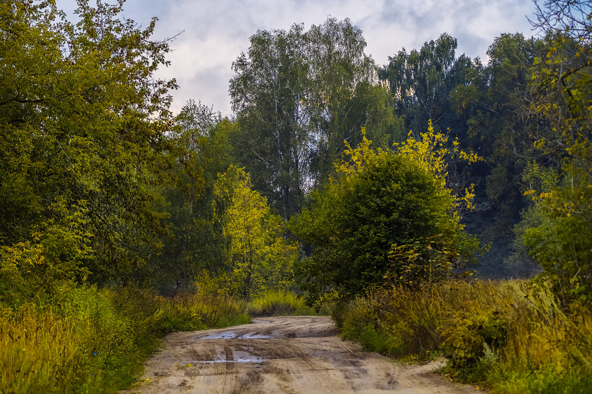 Дорога в осень - Андрей Дворников