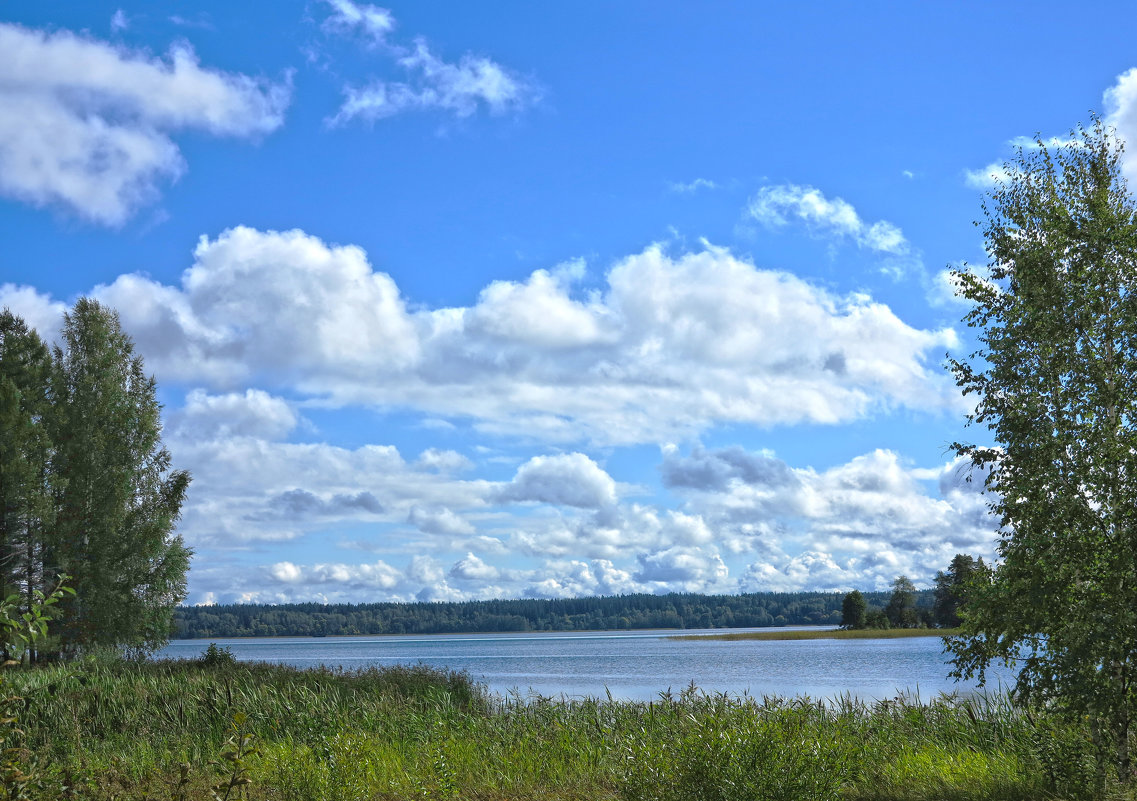 Озеро возле монастыря - Наталья 