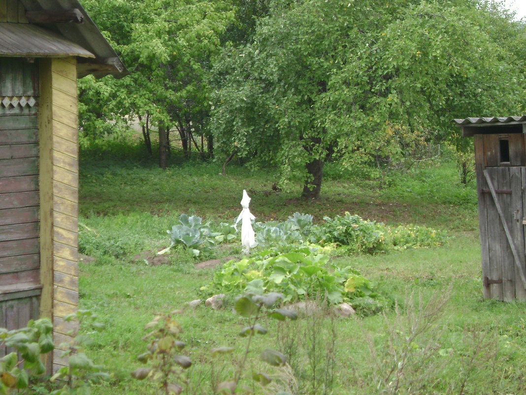 Маленькое привидение на огороде - Марина Домосилецкая