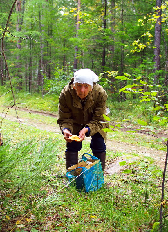 Любительница собирать грибы,а ей самой уж - 83 ! - Александр Попов