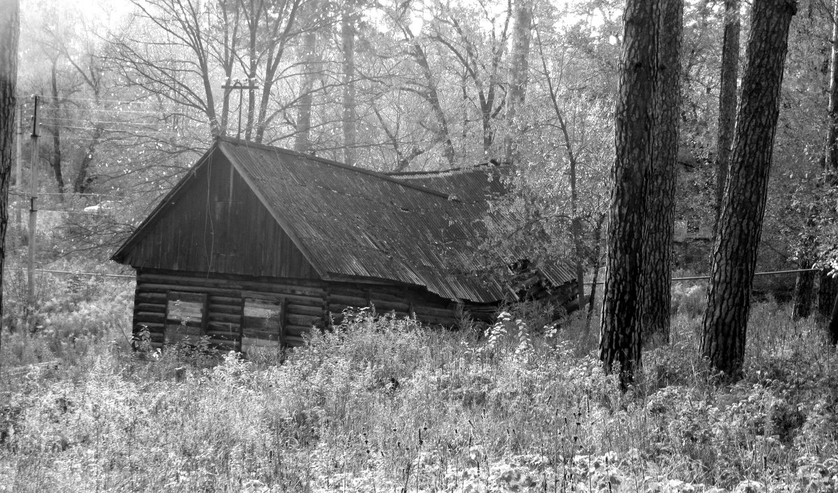 Старый дом в лесу - Надежда 