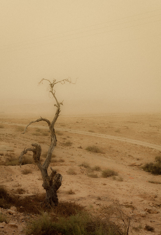 Негев, песчаная буря приближается - Валерий Цингауз