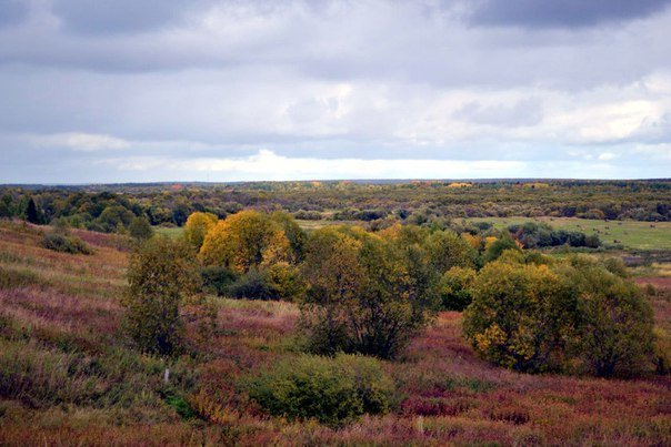 Осень в Коми - Николай Туркин 