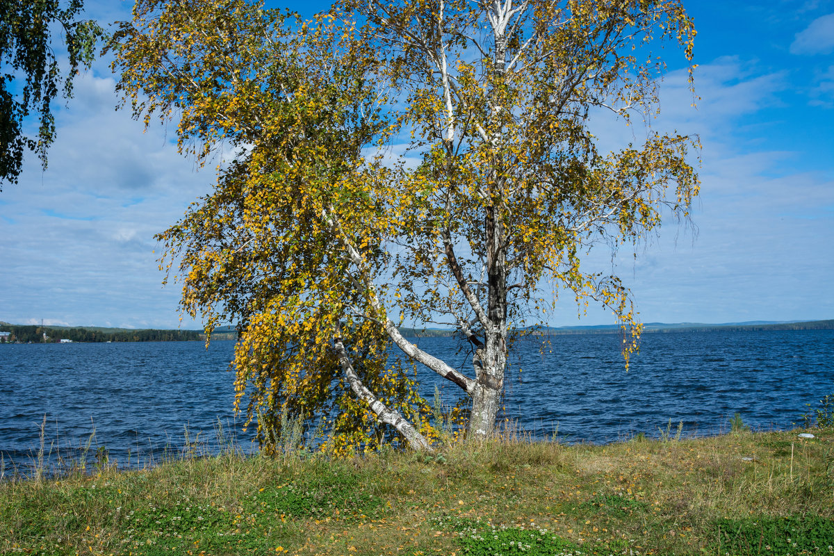 и - Александр К.