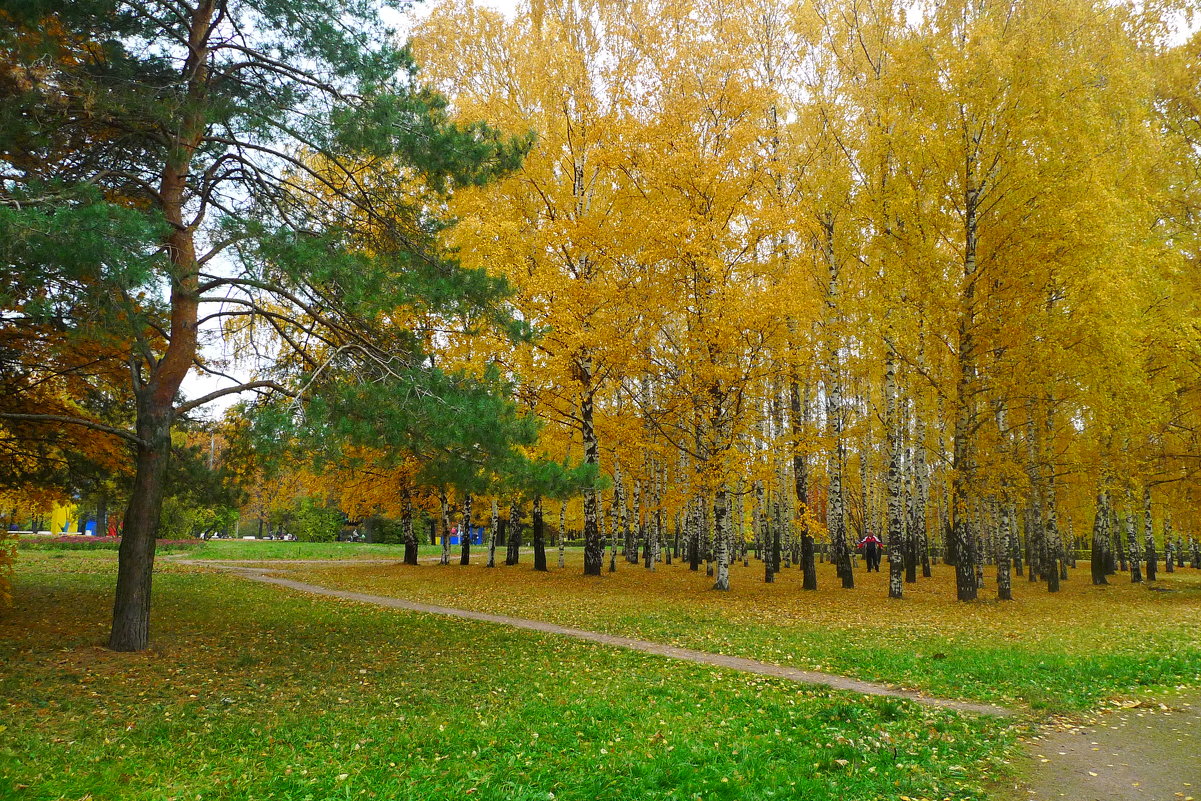 Осенний этюд в парке. - Александр Атаулин