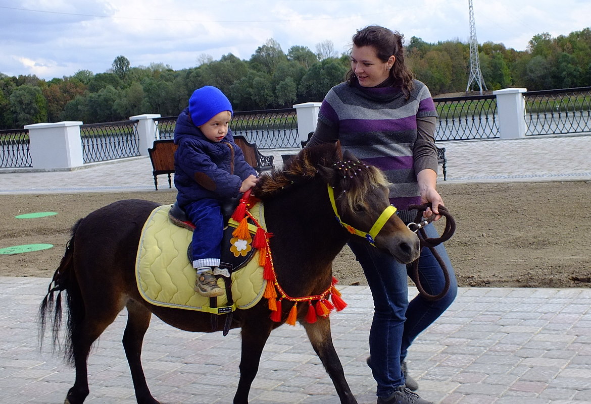 маленький человек на маленькой лошадке - Александр Прокудин