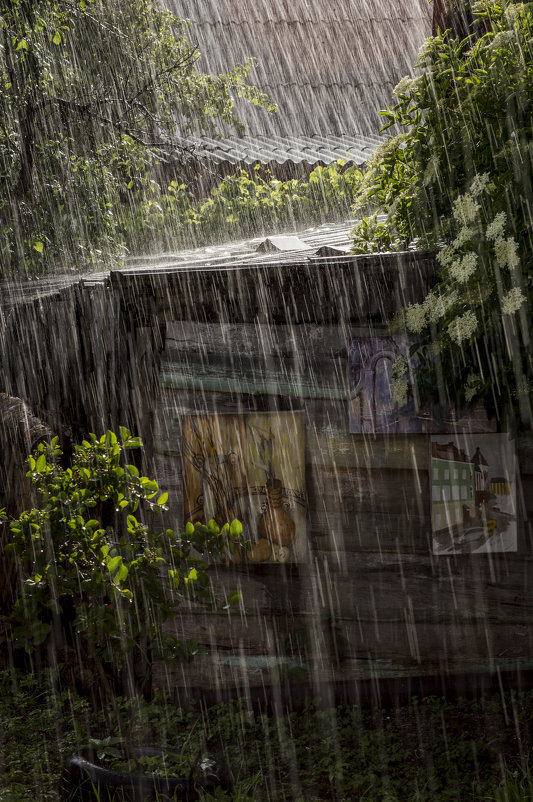 Дождь - Mikhail Arhangel