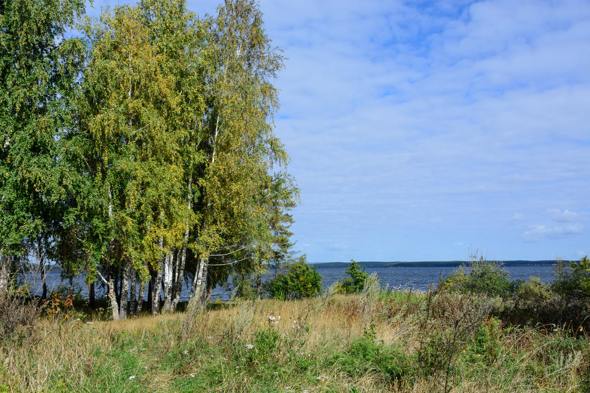 с - Александр К.