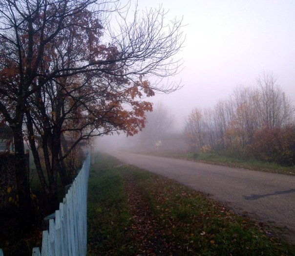 Туманное утро в деревне - Николай Туркин 