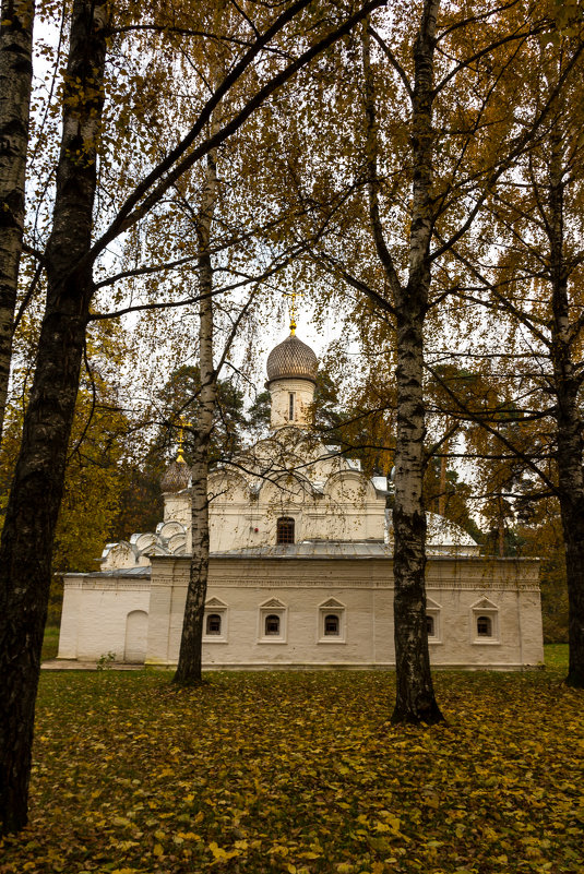 Храм Михаила Архангела - Александр 