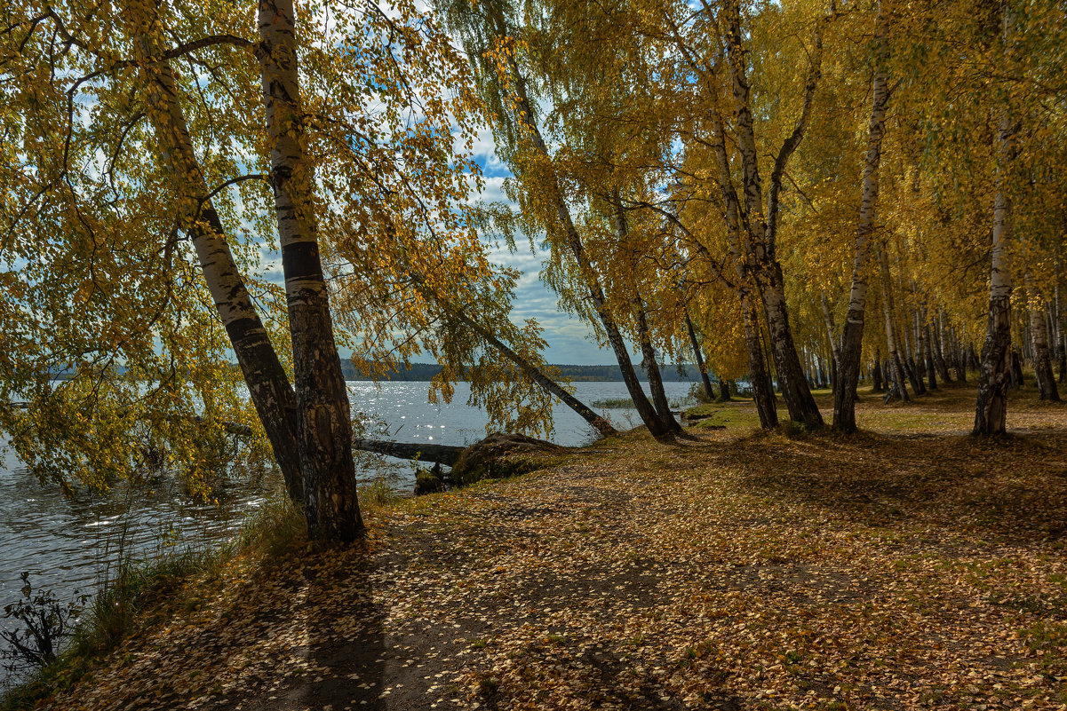 Осень на озере - vladimir Bormotov