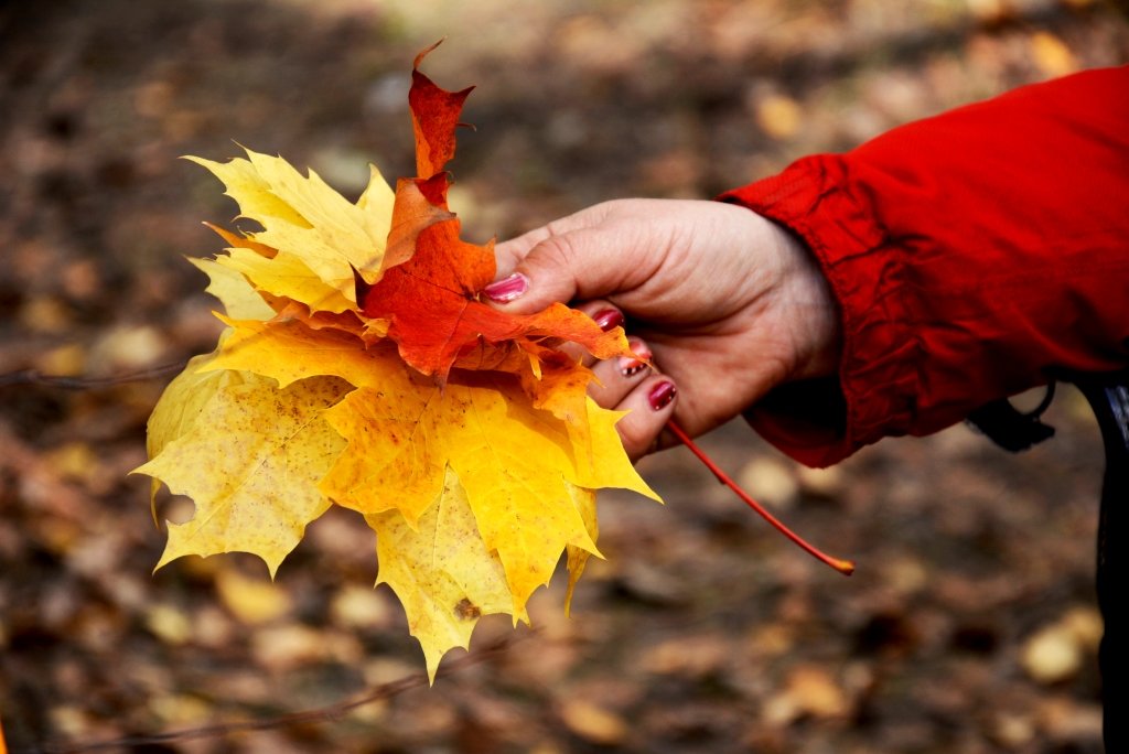 fall - Татьяна 