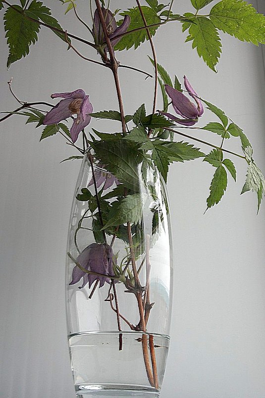 букет в прозрачной вазе - Нина Насыпова