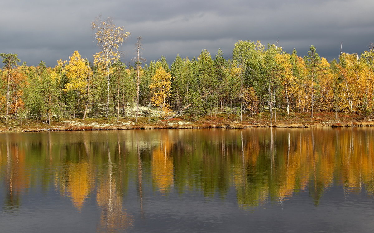 Осенний пейзаж - Надя Жукова 