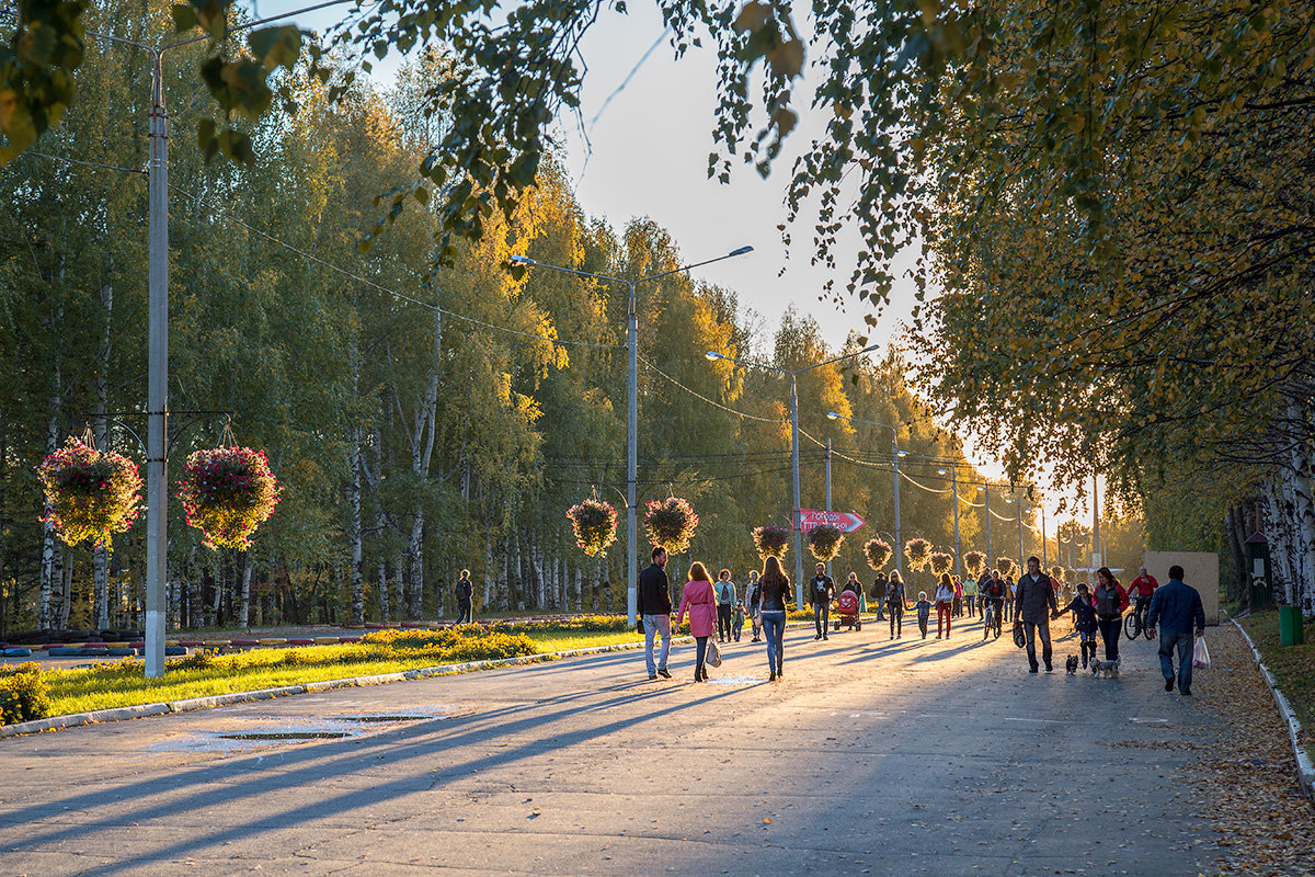 В солнечном свете - Леонид Никитин